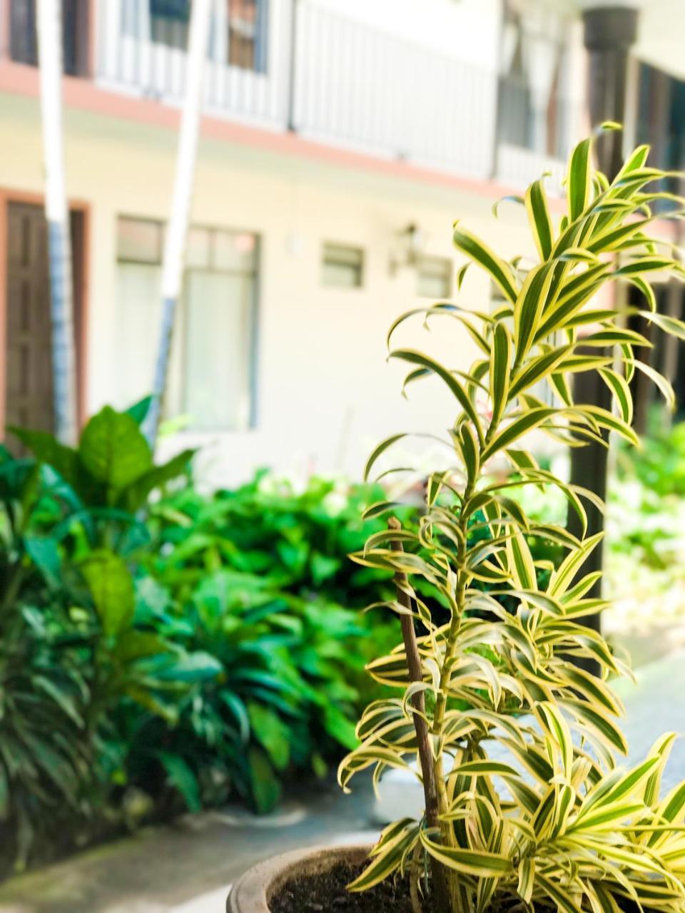 Hotel Villa De Flores Uruapan  Eksteriør billede